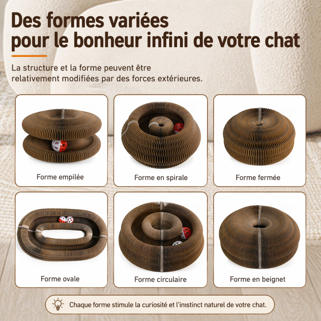 Formes variées pour votre chat
