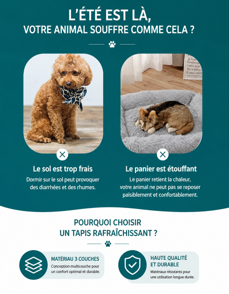 L'été est là, offrez du confort à votre animal