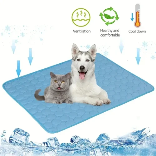 Tapis rafraîchissant placevibz